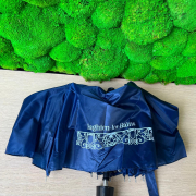 Parapluie petit format
