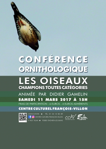 Conférence ornithologique // Les oiseaux : Champions toutes catégories 