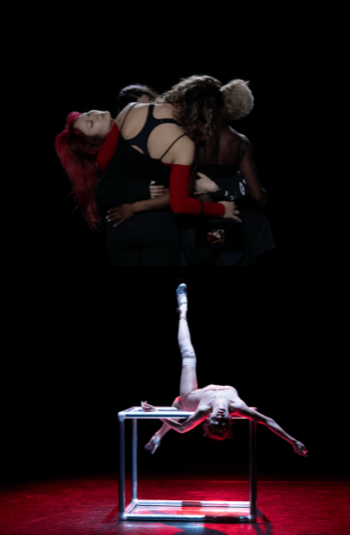 Danse // Plateau partagé - Emanuelle Soum & Sarah Adjou 