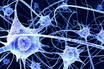 Conférence // Des cellules aux neurones