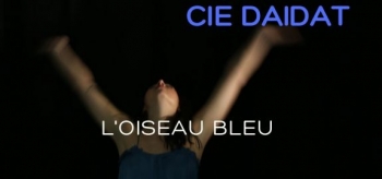 Danse-Théâtre // L'Oiseau Bleu - Sortie de Résidence de la Compagnie Daidat