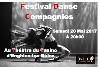 Danse // Festival Danse Compagnies