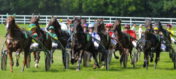 Hippisme // Courses de trot