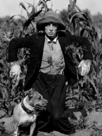 Ciné-concert // Buster Keaton, La Tempête Burlesque - Guillaume Ménard 