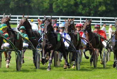 Hippisme // Courses de trot