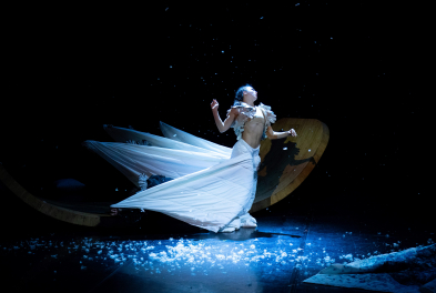 Danse // Le Carnaval des animaux… - Compagnie (1)Promptu