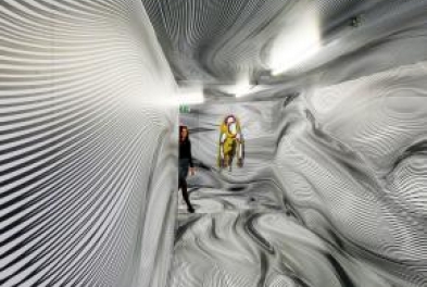 Visite guidée // Peter Kogler