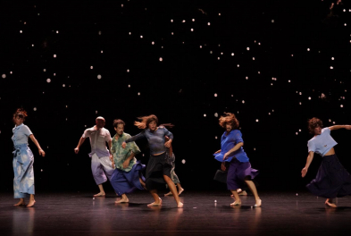 Danse // Renverse - Cie L'Expérience Harmaat - Fabrice Lambert
