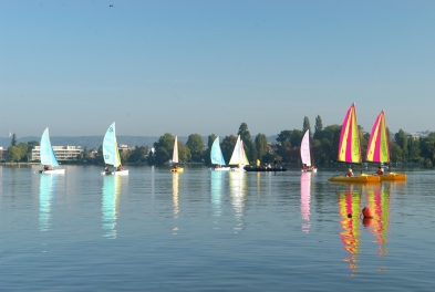 Lake and sails